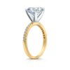 Oval Engagement Ring - Richards Gems And Jewelry